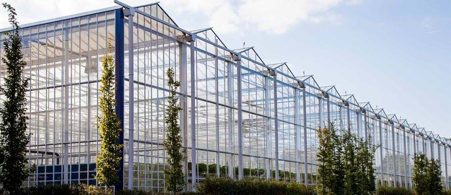 Sideview from glass greenhouses