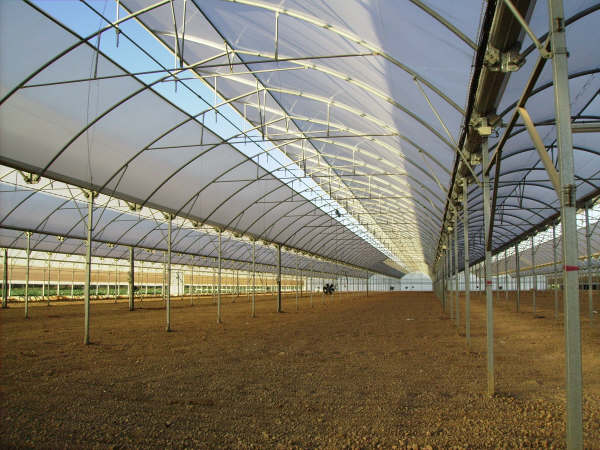 Drive systems for poly greenhouses